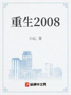 重生2008